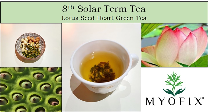 8th Solar Term Tea
