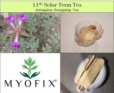 11th Solar Term Tea