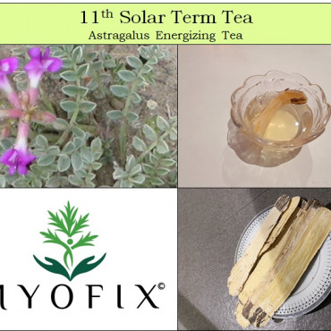 11th Solar Term Tea