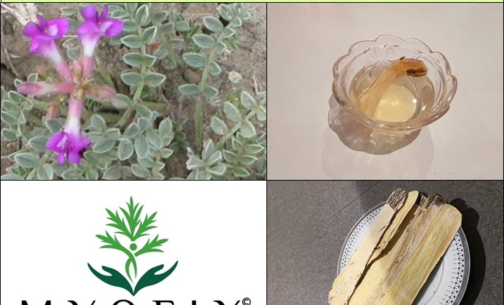 11th Solar Term Tea